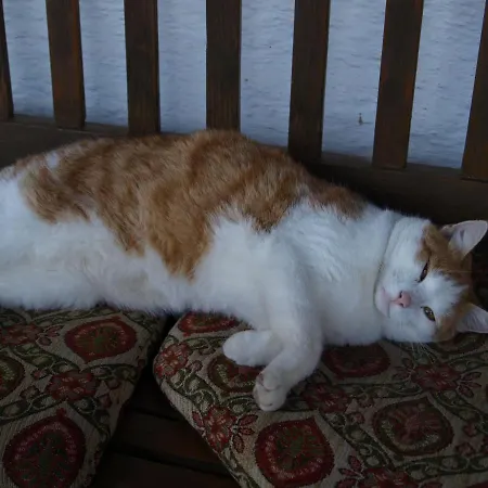 Homestay szállás Brombergerhof