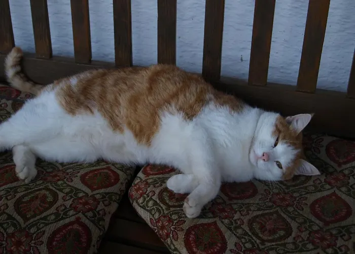 Проживание в семье Brombergerhof